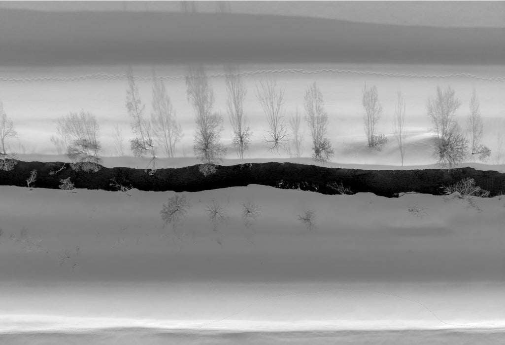 Silver River