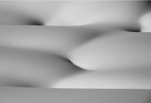 Fox Tracks 3 - The Texture