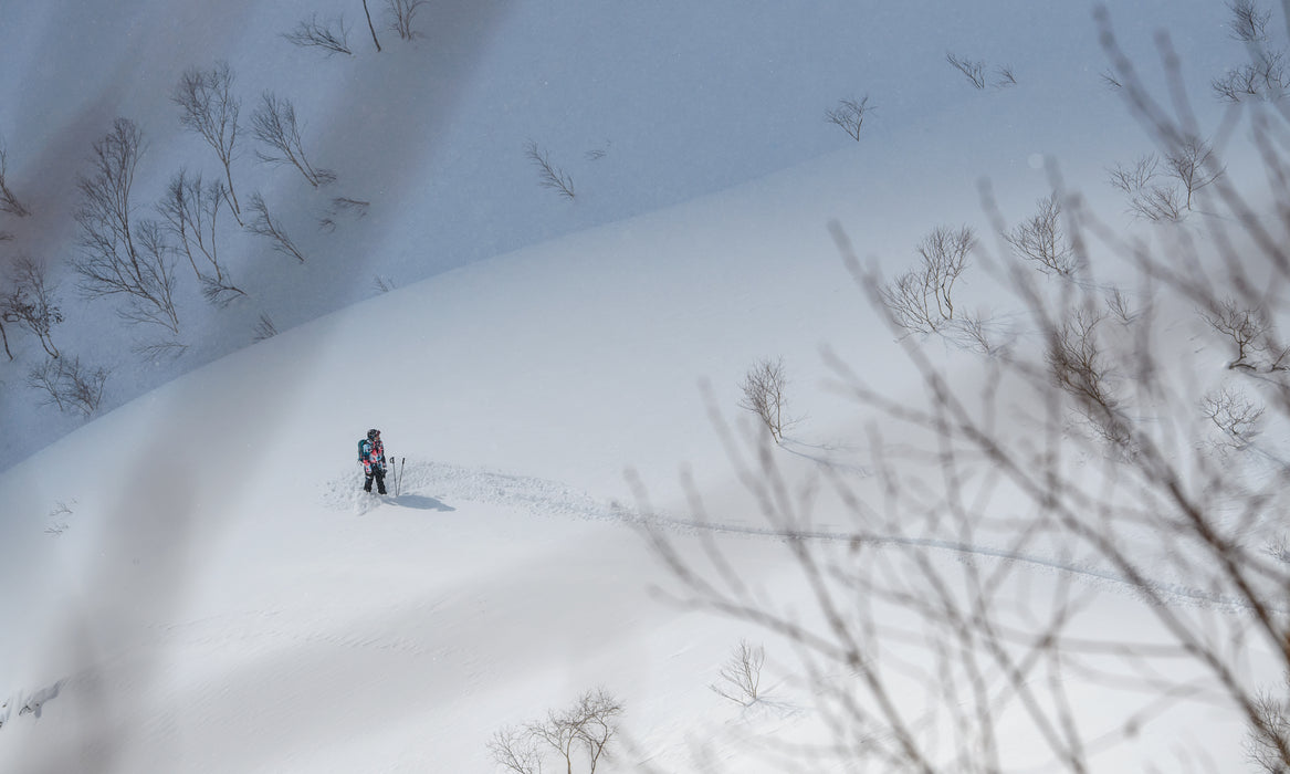 Solo Skier