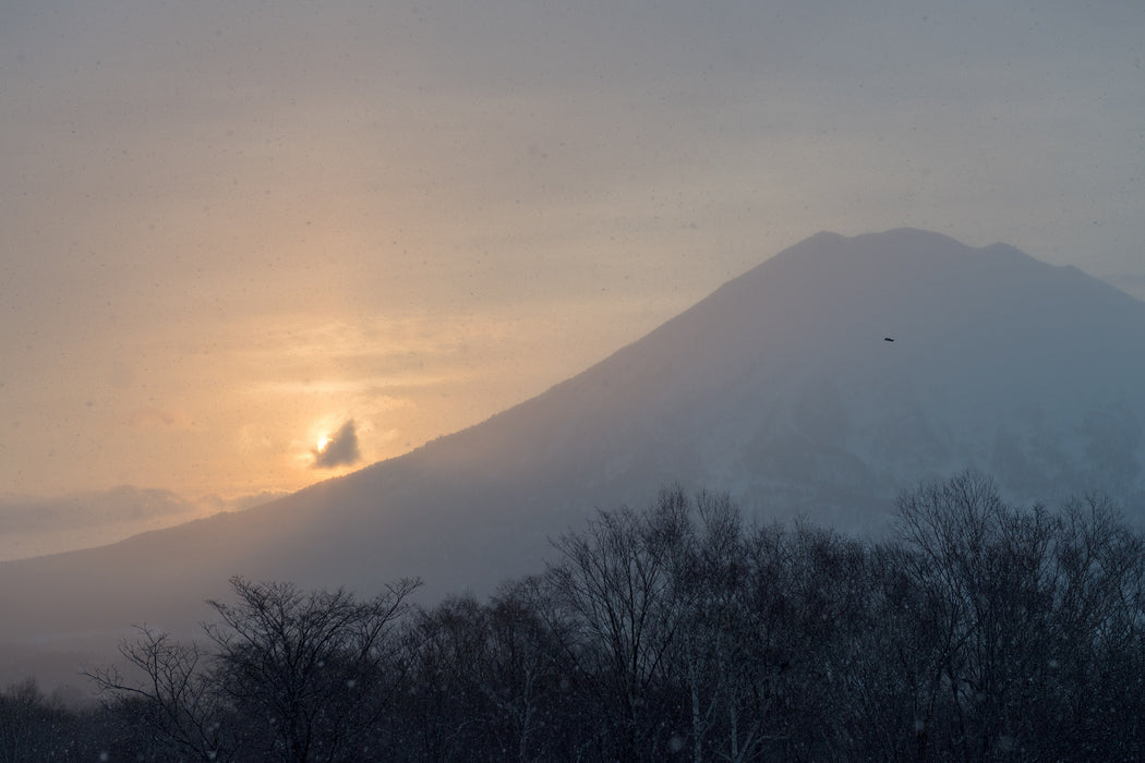 Snow Rise