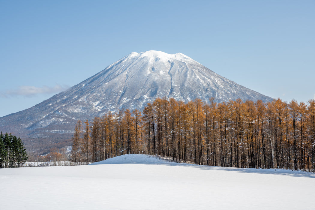 Iconic Yotei II