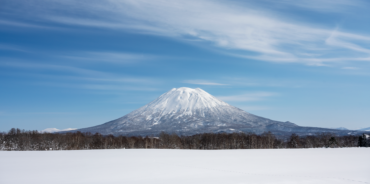 Bluebird Yotei