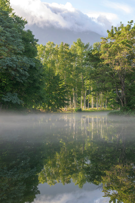 Mist on the Water