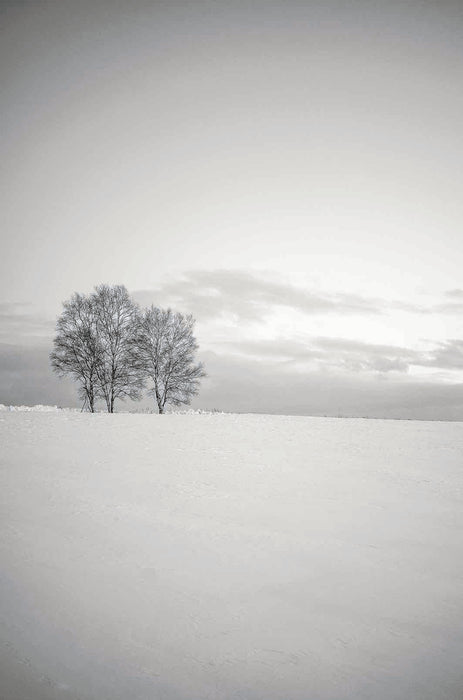 Monochromatic Whispers